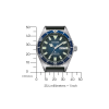 NY0129-07LE